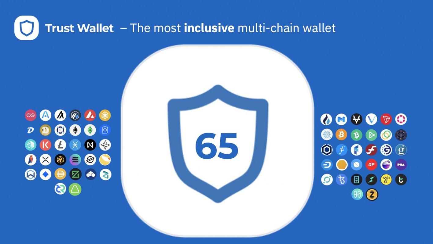 下载Trust Wallet钱包安卓版后的安全设置，确保交易的畅通无阻！_畅通无线电脑版下载_安全管家安卓版下载